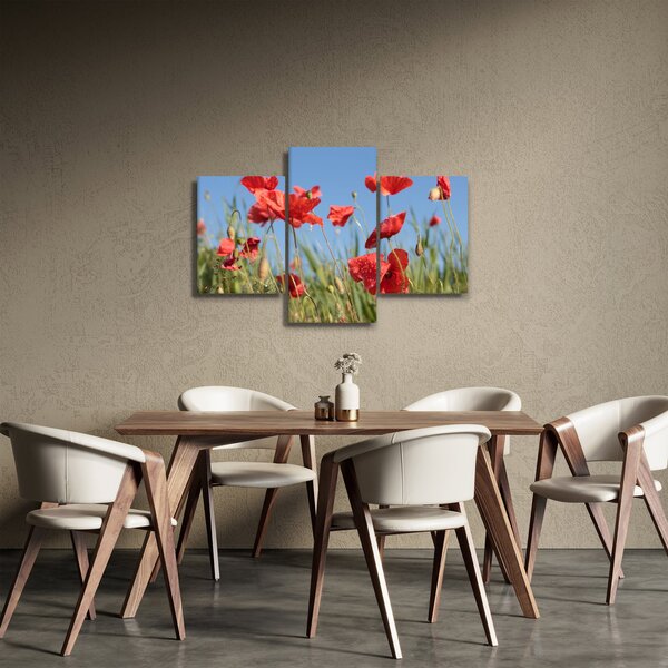 Slika - makovi (90x60 cm)