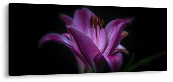 Slika ljiljana (120x50 cm)