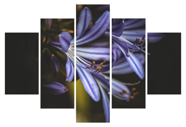 Slika - Lila (150x105 cm)