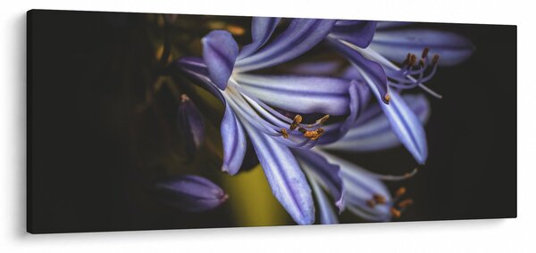 Slika - Lila (120x50 cm)