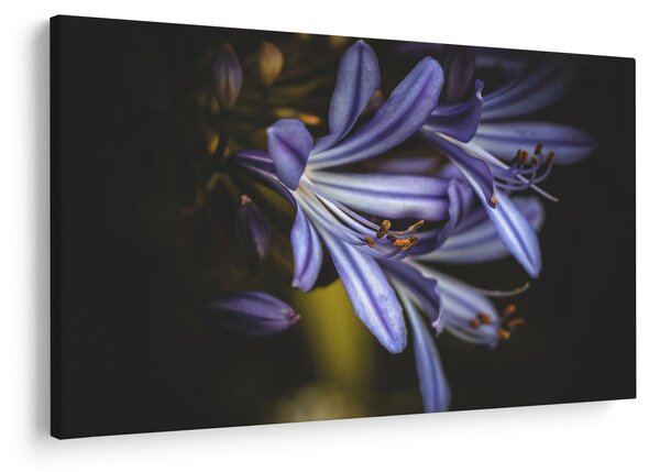 Slika - Lila (90x60 cm)