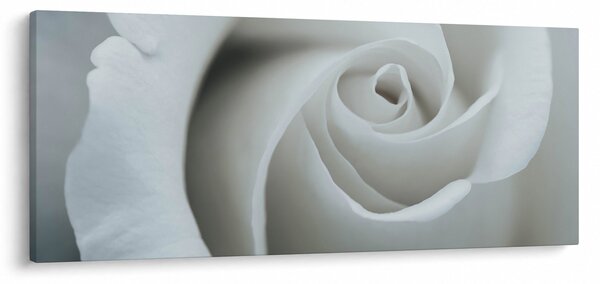 Slika - Bijela ruža (120x50 cm)