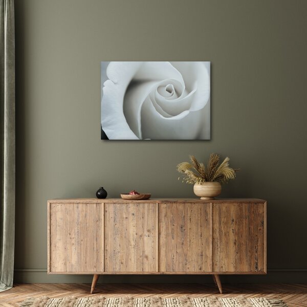 Slika - Bijela ruža (70x50 cm)