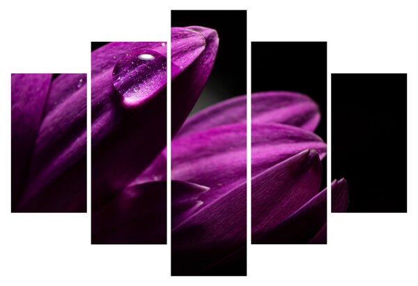 Slika - Kapljica vode (150x105 cm)