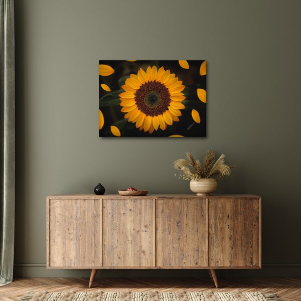Slika - Suncokreti i latice cvijeta (70x50 cm)