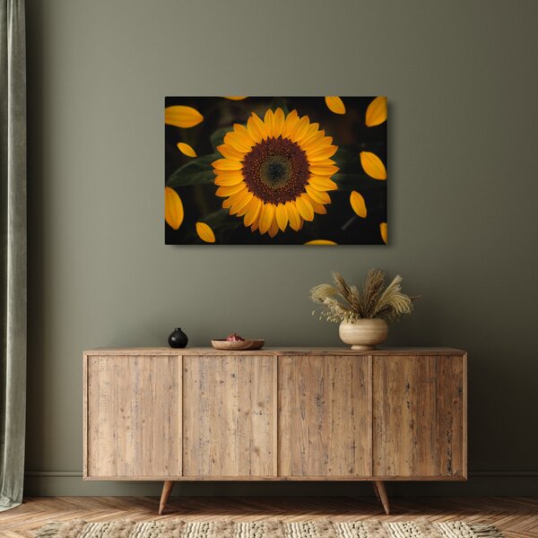 Slika - Suncokreti i latice cvijeta (90x60 cm)