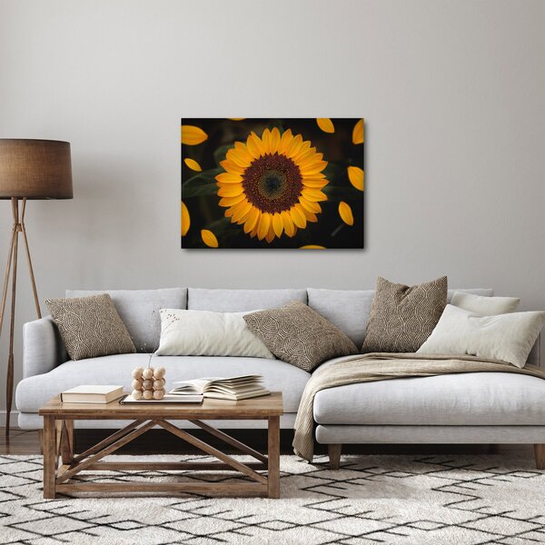 Slika - Suncokreti i latice cvijeta (70x50 cm)