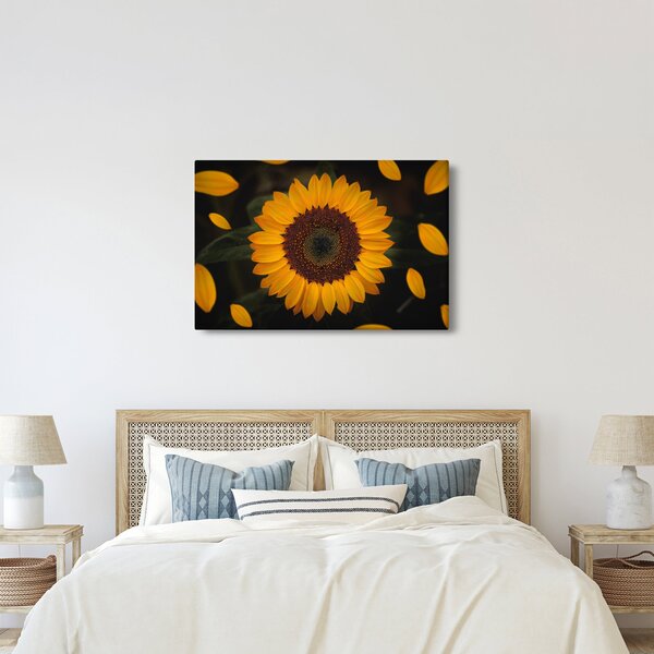 Slika - Suncokreti i latice cvijeta (90x60 cm)