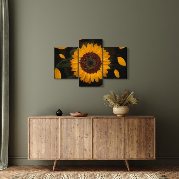 Slika - Suncokreti i latice cvijeta (90x60 cm)