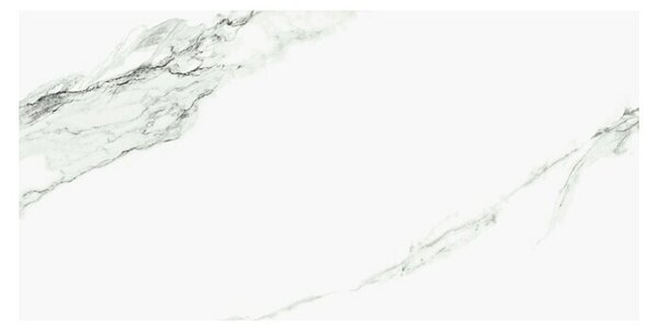 Porculanska pločica Denarius (60 x 120 cm, Bijelo siva, Mat)