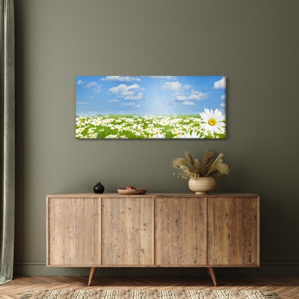 Slika procvjetale livade s tratinčicama (120x50 cm)
