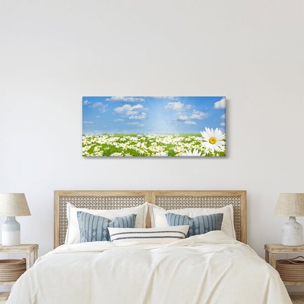 Slika procvjetale livade s tratinčicama (120x50 cm)