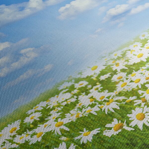 Slika procvjetale livade s tratinčicama (120x50 cm)