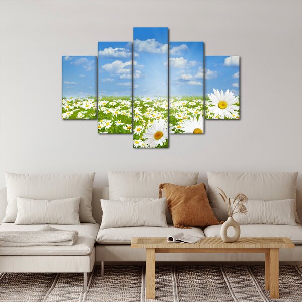 Slika procvjetale livade s tratinčicama (150x105 cm)