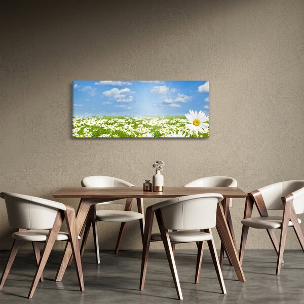 Slika procvjetale livade s tratinčicama (120x50 cm)