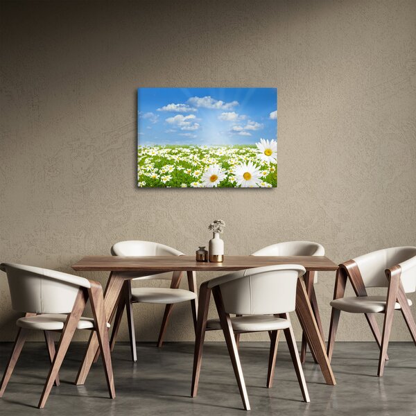Slika procvjetale livade s tratinčicama (70x50 cm)