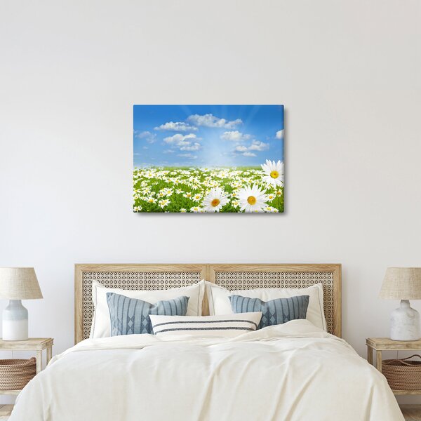 Slika procvjetale livade s tratinčicama (70x50 cm)