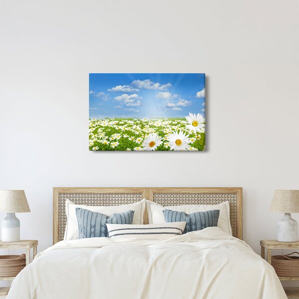 Slika procvjetale livade s tratinčicama (90x60 cm)