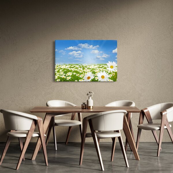 Slika procvjetale livade s tratinčicama (90x60 cm)
