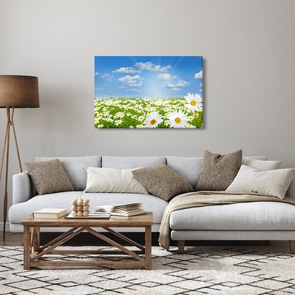 Slika procvjetale livade s tratinčicama (90x60 cm)