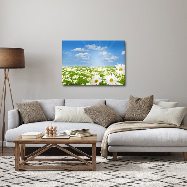 Slika procvjetale livade s tratinčicama (70x50 cm)