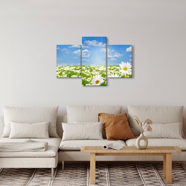 Slika procvjetale livade s tratinčicama (90x60 cm)