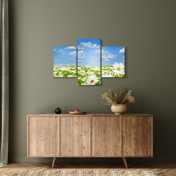 Slika procvjetale livade s tratinčicama (90x60 cm)
