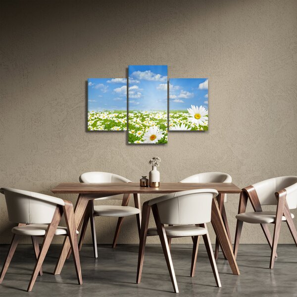 Slika procvjetale livade s tratinčicama (90x60 cm)