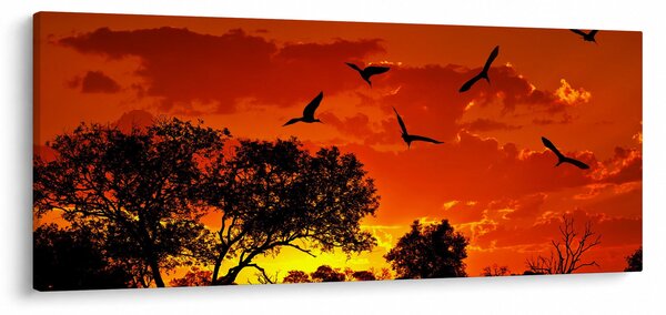Slika ptica u zalasku sunca (120x50 cm)