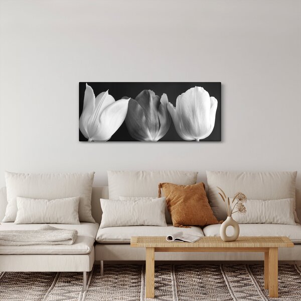 Slika - Crno-bijeli cvjetovi tulipana (120x50 cm)