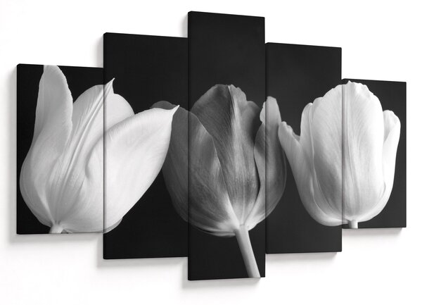 Slika - Crno-bijeli cvjetovi tulipana (150x105 cm)
