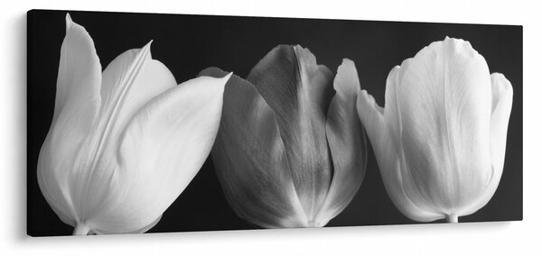 Slika - Crno-bijeli cvjetovi tulipana (120x50 cm)