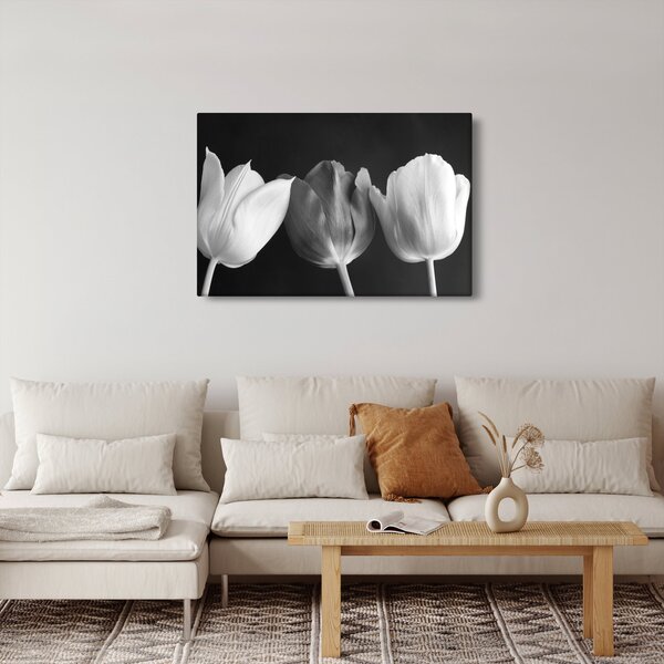 Slika - Crno-bijeli cvjetovi tulipana (90x60 cm)