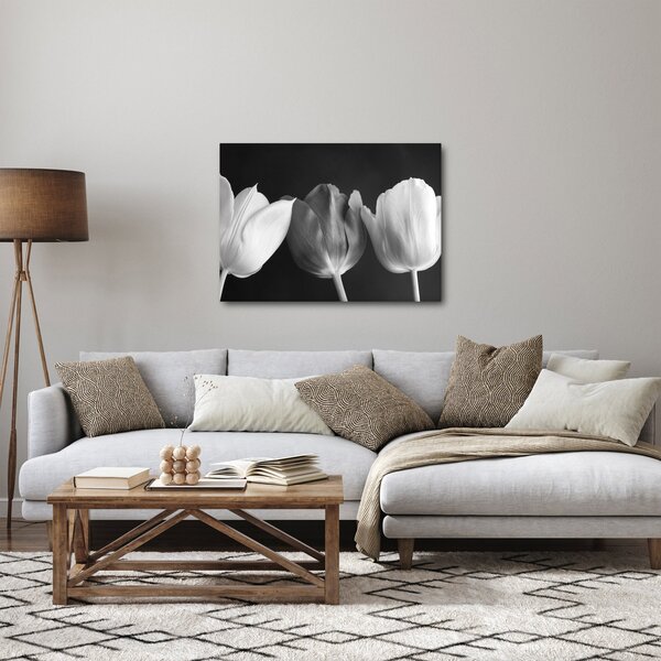 Slika - Crno-bijeli cvjetovi tulipana (70x50 cm)