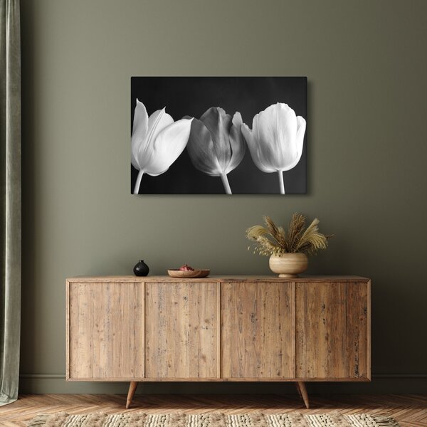 Slika - Crno-bijeli cvjetovi tulipana (90x60 cm)