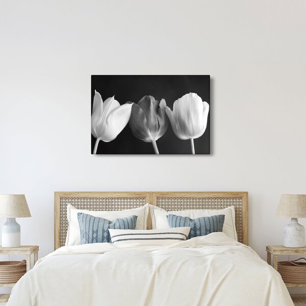 Slika - Crno-bijeli cvjetovi tulipana (90x60 cm)