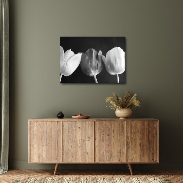 Slika - Crno-bijeli cvjetovi tulipana (70x50 cm)