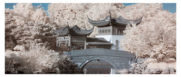Slika - Cvjetajuća stabla u Aziji (120x50 cm)