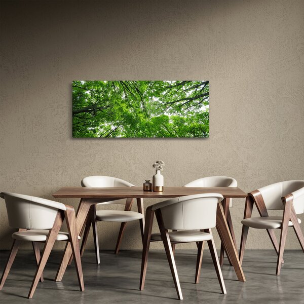 Slika - Pogled u krošnje drveća (120x50 cm)