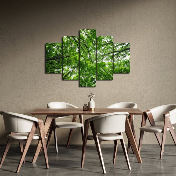 Slika - Pogled u krošnje drveća (150x105 cm)