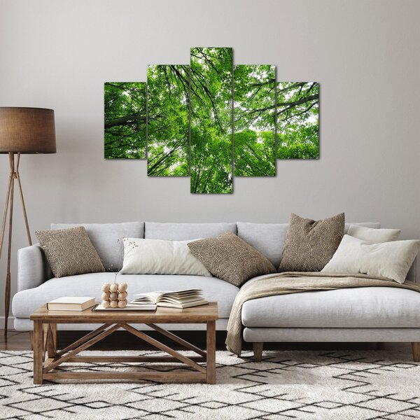Slika - Pogled u krošnje drveća (150x105 cm)