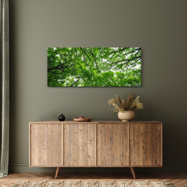 Slika - Pogled u krošnje drveća (120x50 cm)