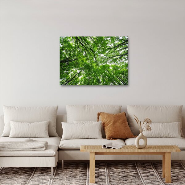 Slika - Pogled u krošnje drveća (70x50 cm)