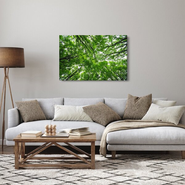 Slika - Pogled u krošnje drveća (90x60 cm)