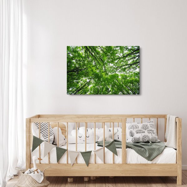 Slika - Pogled u krošnje drveća (90x60 cm)