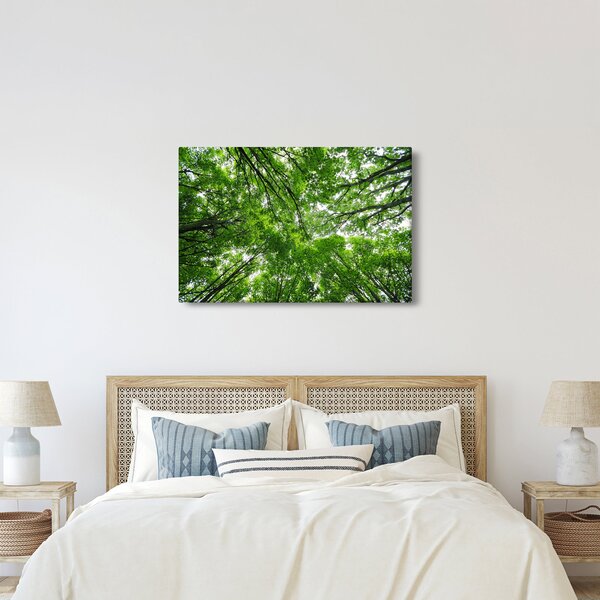 Slika - Pogled u krošnje drveća (90x60 cm)
