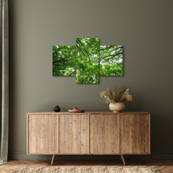 Slika - Pogled u krošnje drveća (90x60 cm)