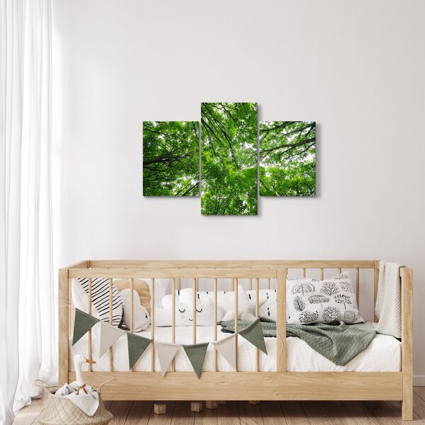 Slika - Pogled u krošnje drveća (90x60 cm)