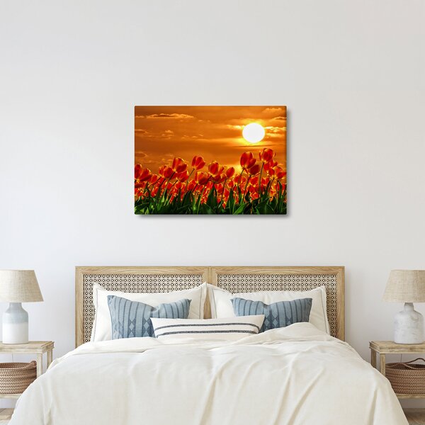 Slika cvatućeg polja s tulipanima (70x50 cm)