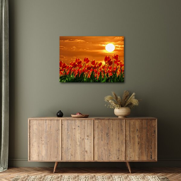 Slika cvatućeg polja s tulipanima (70x50 cm)